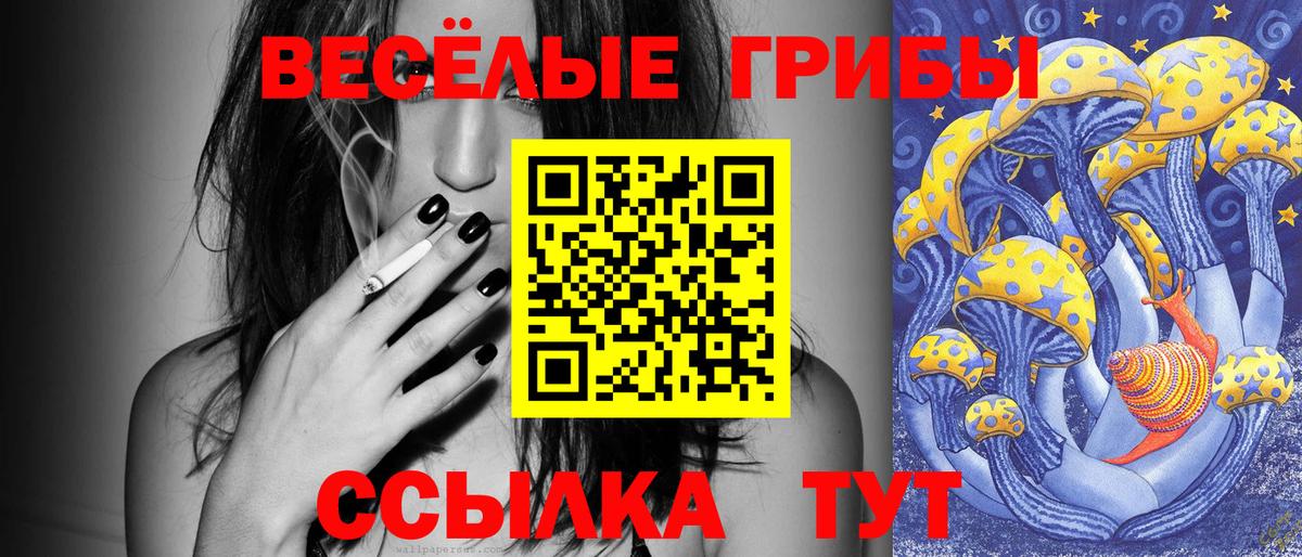 Галлюциногенные грибы MAGIC MUSHROOMS Новоалтайск